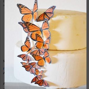 Meet your Posher, Kitty